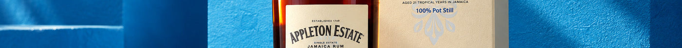 Appleton Hearts Collection 1999 Returns, Five Years Older