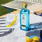 Gin