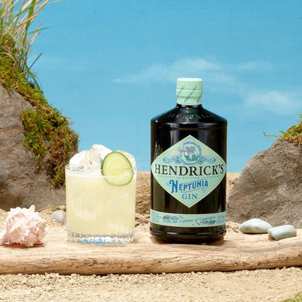 Hendrick's Gin 35cl
